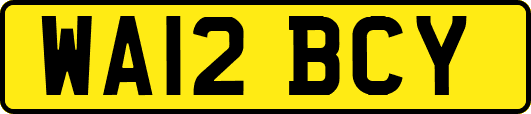 WA12BCY
