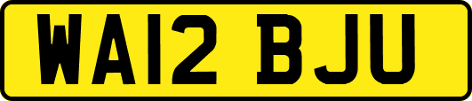 WA12BJU