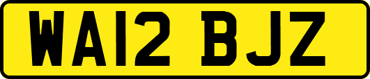 WA12BJZ