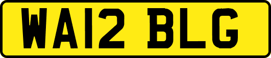 WA12BLG