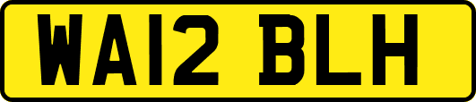 WA12BLH