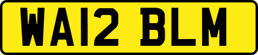 WA12BLM