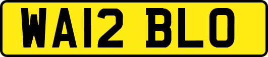 WA12BLO