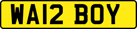 WA12BOY