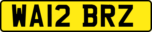 WA12BRZ