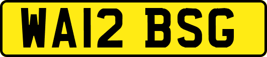 WA12BSG