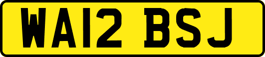 WA12BSJ