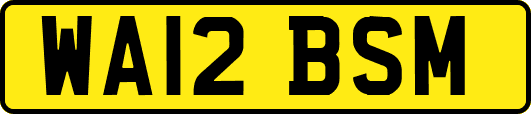 WA12BSM