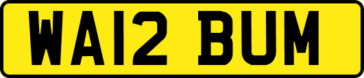 WA12BUM