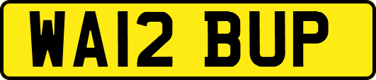 WA12BUP
