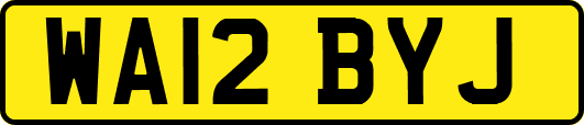 WA12BYJ