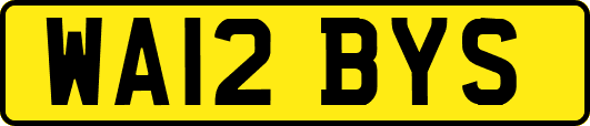 WA12BYS