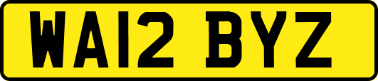 WA12BYZ