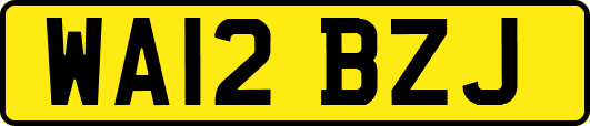 WA12BZJ