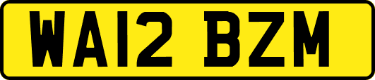 WA12BZM
