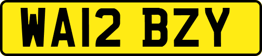 WA12BZY