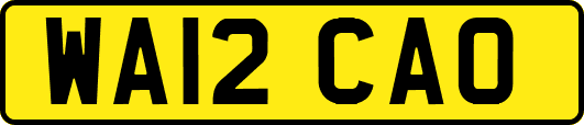 WA12CAO