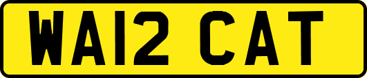 WA12CAT