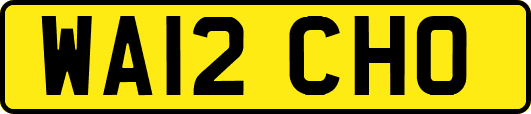 WA12CHO
