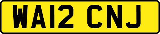 WA12CNJ