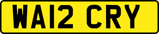 WA12CRY