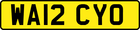 WA12CYO