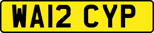 WA12CYP