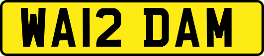 WA12DAM
