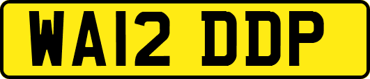 WA12DDP