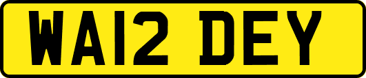 WA12DEY