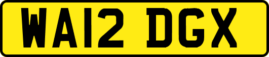 WA12DGX