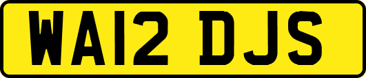 WA12DJS