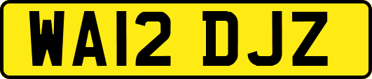 WA12DJZ
