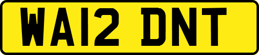 WA12DNT