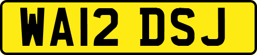 WA12DSJ