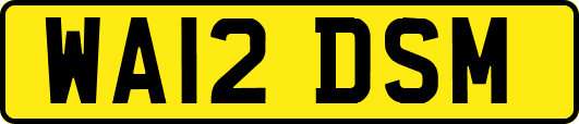 WA12DSM
