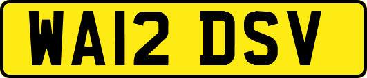 WA12DSV
