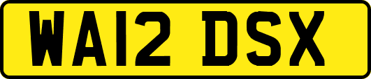 WA12DSX