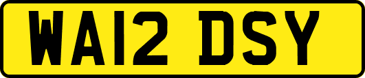 WA12DSY