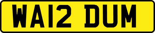 WA12DUM
