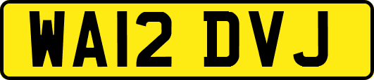 WA12DVJ