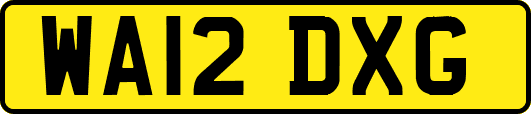 WA12DXG