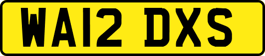 WA12DXS