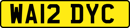 WA12DYC