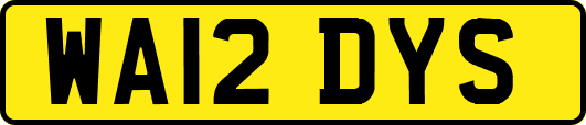 WA12DYS