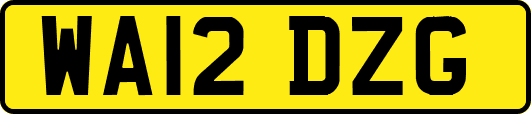 WA12DZG