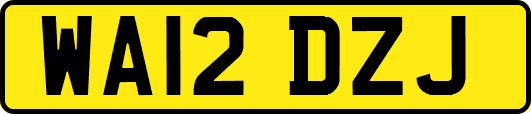 WA12DZJ
