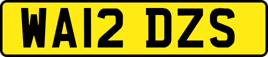 WA12DZS