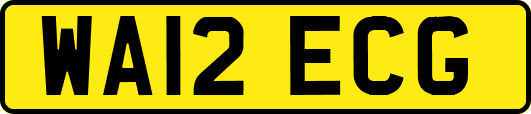 WA12ECG