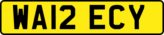 WA12ECY
